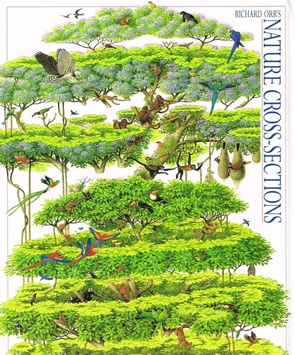 Cover for Nature Cross-sections