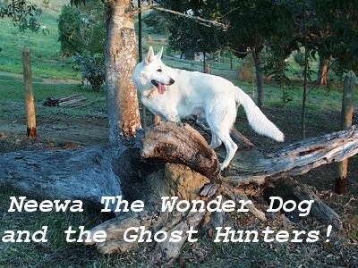Cover for Neewa the Wonder Dog and the Ghost Hunters!
