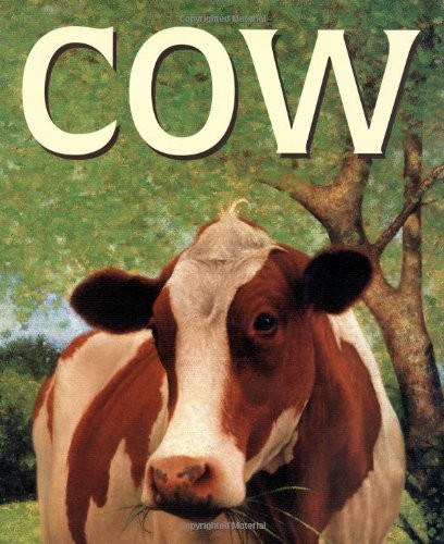 Cover for Cow