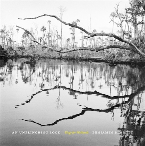 Cover for Unflinching Look