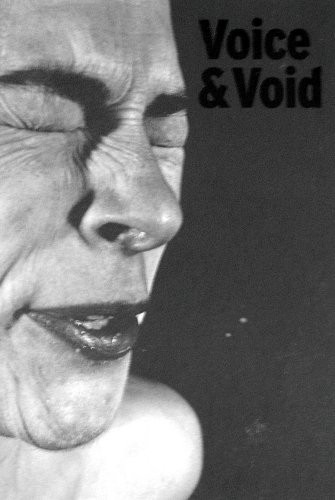 Cover for Voice & void