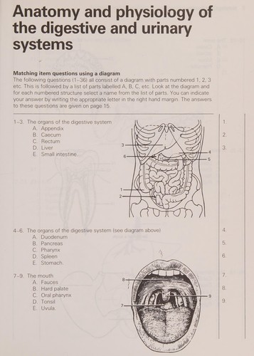 Cover for The Digestive system and the urinary system