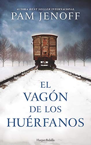 Cover for El vagón de los huérfanos