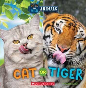 Cover for Cat or Tiger (Wild World: Pets and Wild Animals)