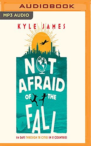 Cover for Not Afraid of the Fall