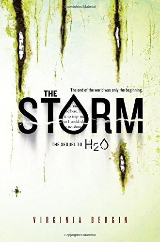 Cover for The Storm