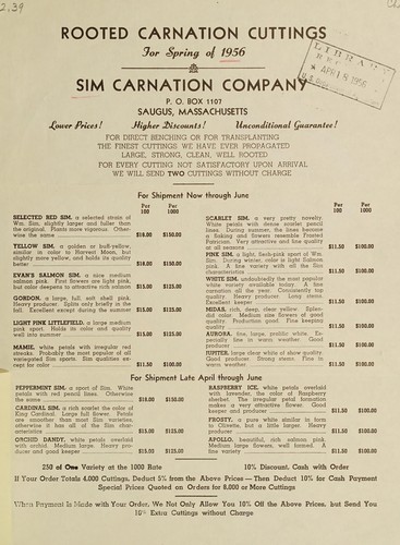 Cover for Rooted carnation cuttings