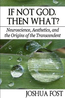 Cover for If Not God Then What Neuroscience Aesthetics And The Origins Of The Transcendent