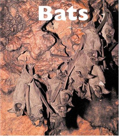 Cover for Bats