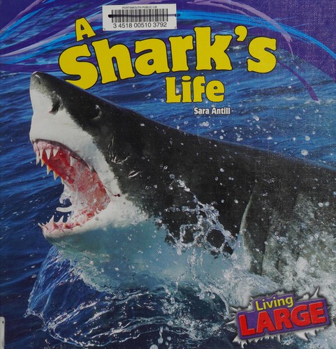Cover for A shark's life