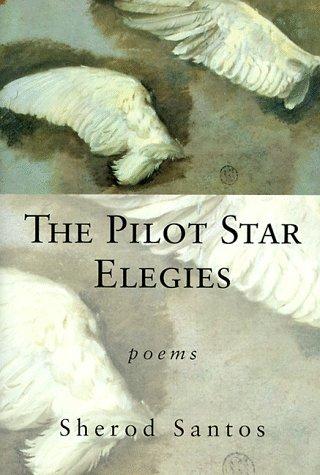 Cover for The pilot star elegies