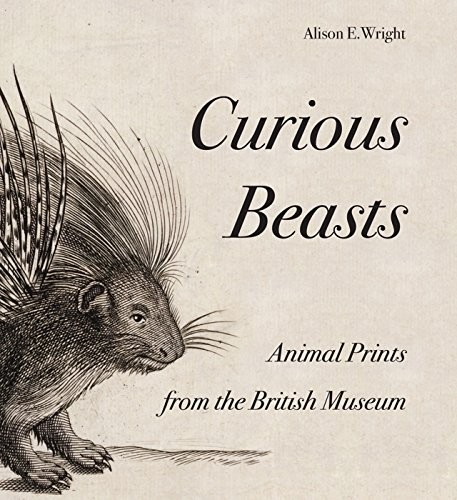 Cover for Curious Beasts