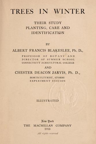 Cover for Trees in winter