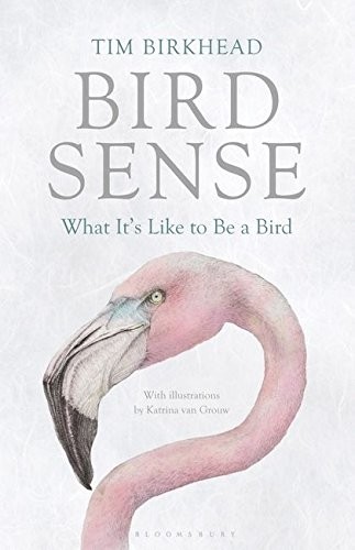 Cover for Bird Sense