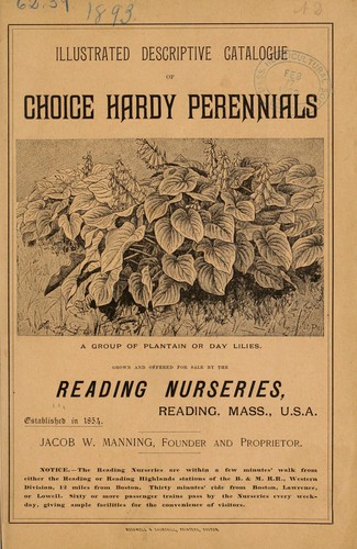 Cover for Illustrated descriptive catalogue of choice hardy perennials