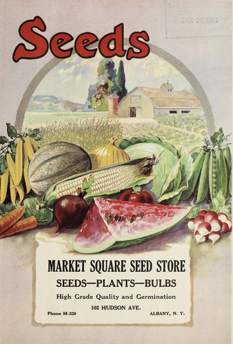 Cover for Seeds