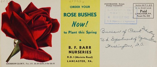 Cover for Order your rose bushes now! to plant this spring