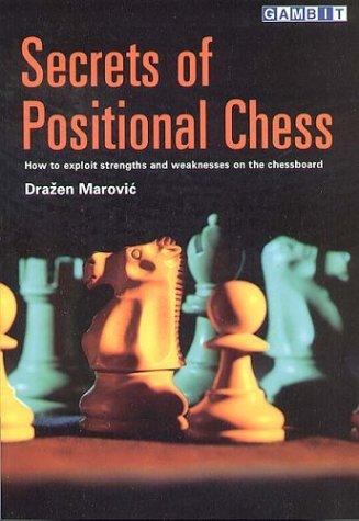 Cover for Secrets of Positional Chess