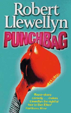 Cover for Punchbag