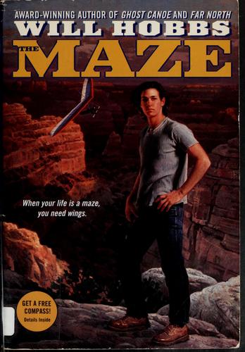 Cover for The maze