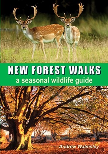 Cover for New Forest Walks