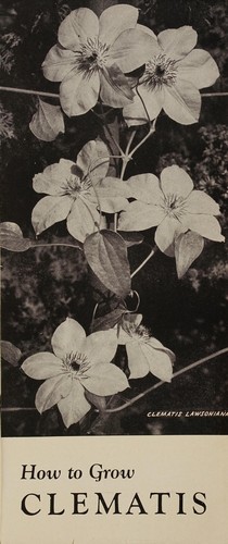 Cover for How to grow clematis
