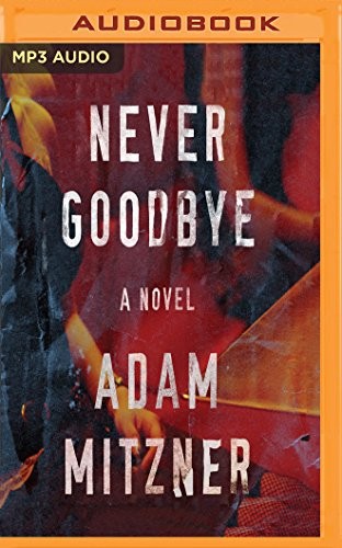 Cover for Never Goodbye