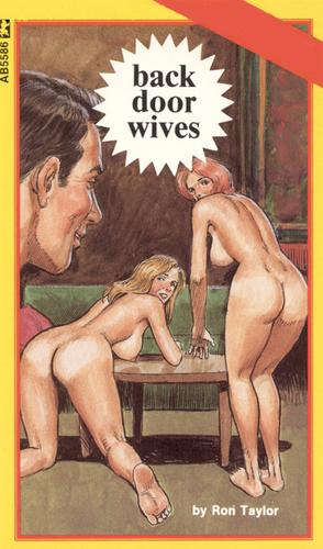 Cover for Back door wives