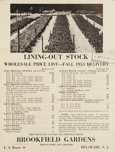 Cover for Lining-out stock