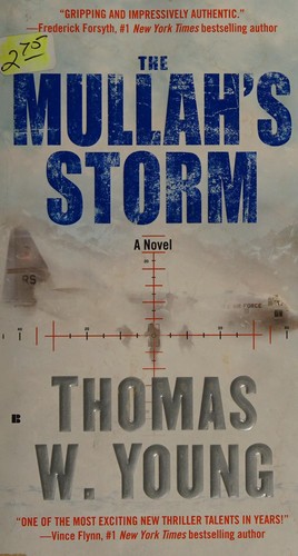 Cover for The mullah's storm
