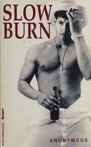 Cover for Slow Burn