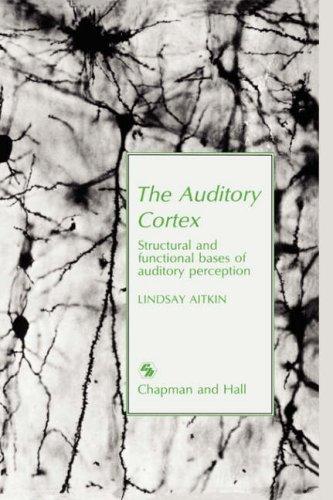 Cover for The auditory cortex