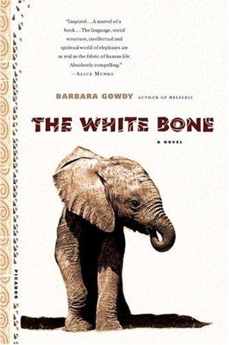 Cover for The white bone
