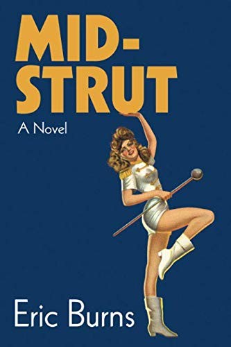 Cover for Mid-Strut