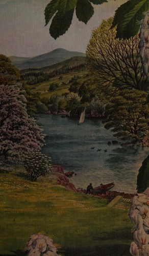 Cover for The Shell country book