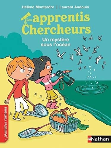 Cover for Un mystère sous l'océan