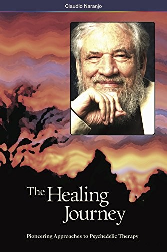 Cover for The Healing Journey