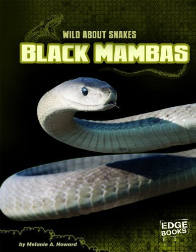 Cover for Black mambas
