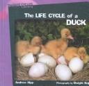 Cover for The Life Cycle of a Snail (Hipp, Andrew. Life Cycles Library.)