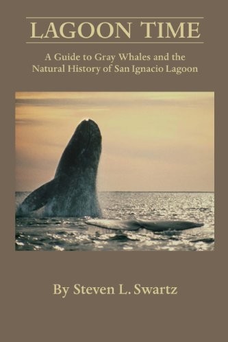 Cover for Lagoon Time