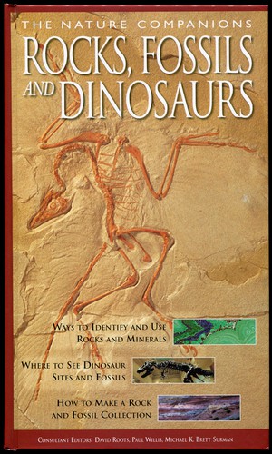 Cover for Rocks, Fossils and Dinosaurs