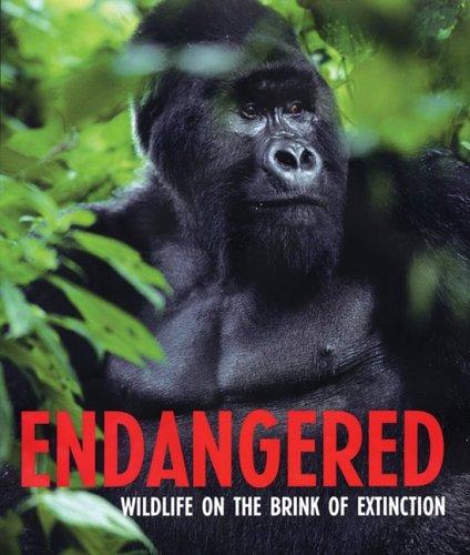 Cover for Endangered