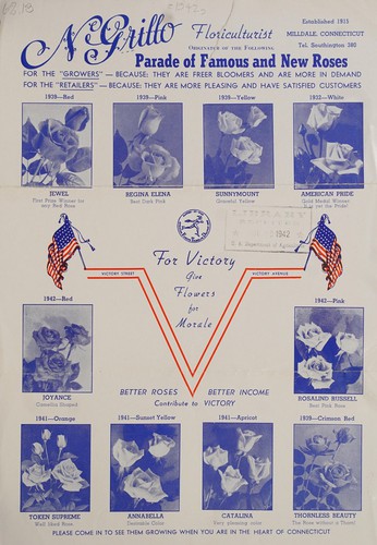 Cover for Parade of famous and new roses
