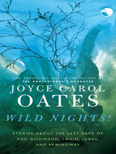 Cover for Wild Nights!