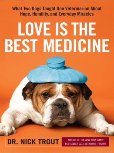 Cover for Love Is the Best Medicine