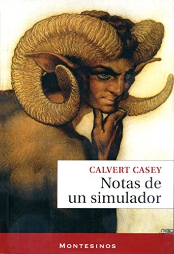 Cover for Notas de un simulador