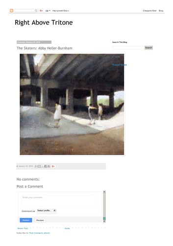 Cover for The Skaters
