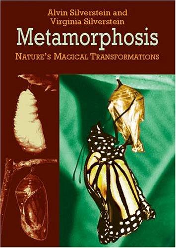 Cover for Metamorphosis