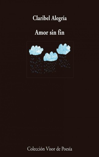 Cover for Amor sin fin