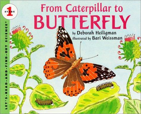Cover for From Caterpillar to Butterfly